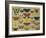 Butterflies-null-Framed Giclee Print