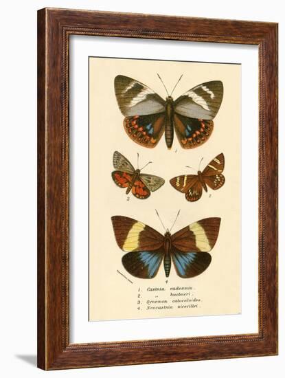 Butterflies-English School-Framed Giclee Print