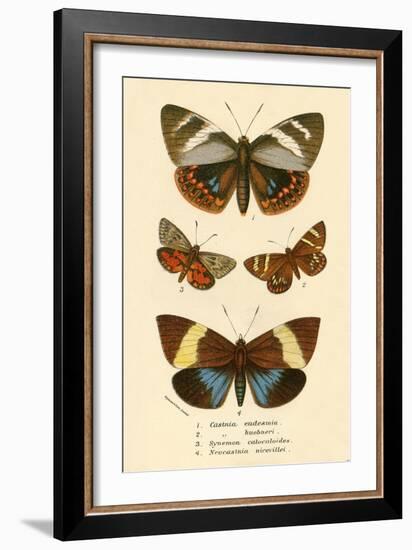 Butterflies-English School-Framed Giclee Print