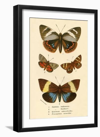 Butterflies-English School-Framed Giclee Print