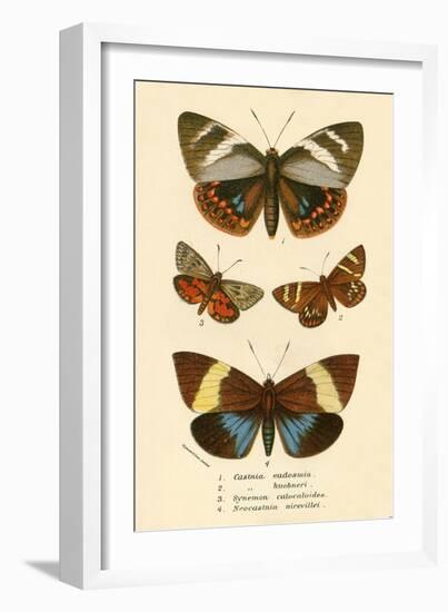 Butterflies-English School-Framed Giclee Print