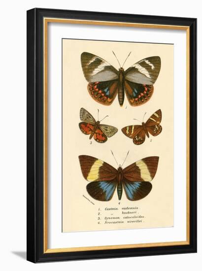 Butterflies-English School-Framed Giclee Print