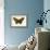 Butterflies-English School-Framed Giclee Print displayed on a wall