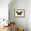 Butterflies-English School-Framed Giclee Print displayed on a wall