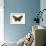 Butterflies-English School-Framed Giclee Print displayed on a wall