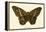 Butterflies-English School-Framed Premier Image Canvas