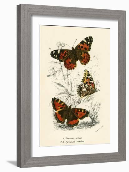 Butterflies-English School-Framed Giclee Print