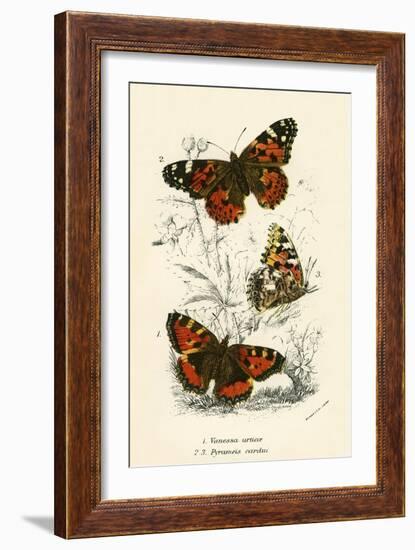 Butterflies-English School-Framed Giclee Print