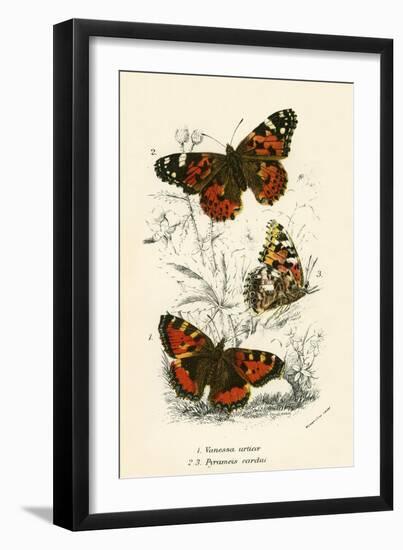 Butterflies-English School-Framed Giclee Print