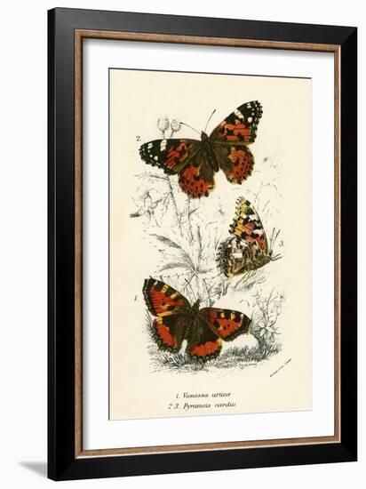 Butterflies-English School-Framed Giclee Print