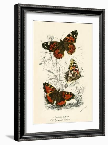 Butterflies-English School-Framed Giclee Print