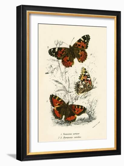 Butterflies-English School-Framed Giclee Print