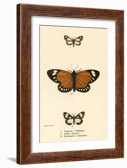 Butterflies-English School-Framed Giclee Print