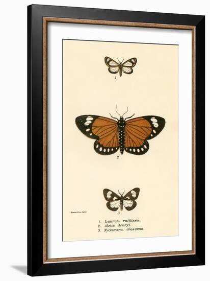 Butterflies-English School-Framed Giclee Print