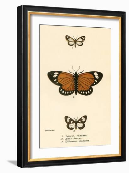 Butterflies-English School-Framed Giclee Print