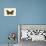 Butterflies-English School-Giclee Print displayed on a wall