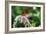 Butterfly 12-Robert Goldwitz-Framed Photographic Print