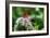 Butterfly 12-Robert Goldwitz-Framed Photographic Print