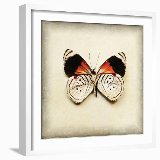 Butterfly 12-Amy Melious-Framed Art Print