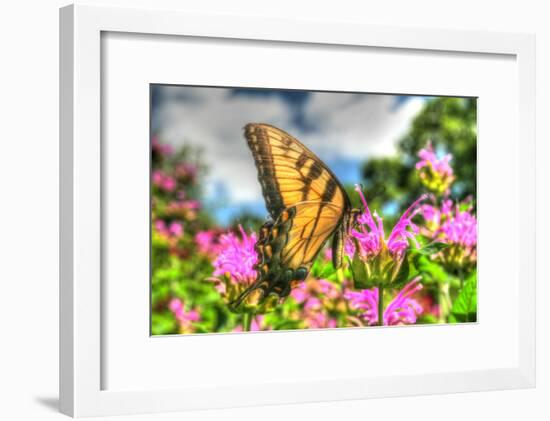 Butterfly 13-Robert Goldwitz-Framed Photographic Print