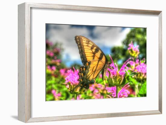 Butterfly 13-Robert Goldwitz-Framed Photographic Print