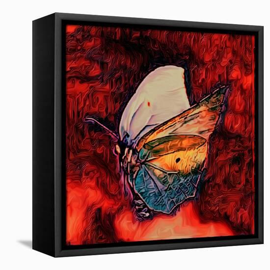 Butterfly, 2021, (digital)-Scott J. Davis-Framed Premier Image Canvas