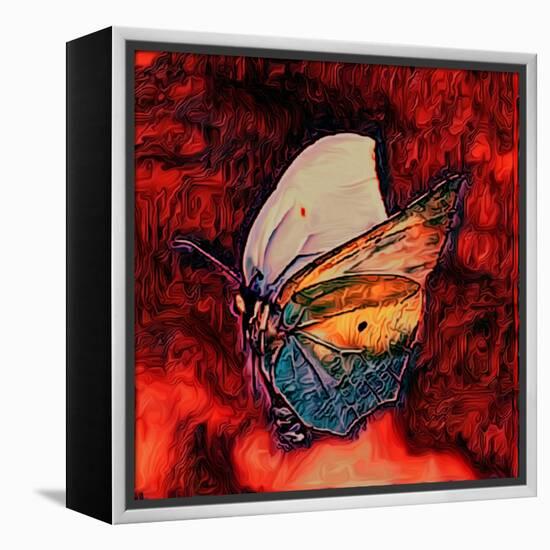Butterfly, 2021, (digital)-Scott J. Davis-Framed Premier Image Canvas