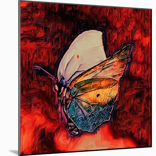 Butterfly, 2021, (digital)-Scott J. Davis-Mounted Giclee Print