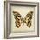 Butterfly 6-Amy Melious-Framed Art Print