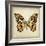 Butterfly 6-Amy Melious-Framed Art Print