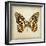 Butterfly 6-Amy Melious-Framed Art Print