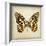 Butterfly 6-Amy Melious-Framed Art Print