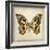 Butterfly 6-Amy Melious-Framed Art Print