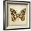 Butterfly 6-Amy Melious-Framed Art Print