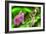 Butterfly 7-Robert Goldwitz-Framed Photographic Print