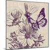 Butterfly Afternoon-Bella Dos Santos-Mounted Art Print