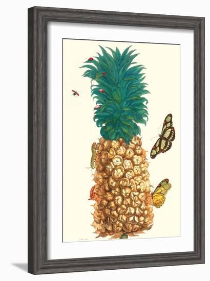 Butterfly and Beetle on a Pineapple-Maria Sibylla Merian-Framed Art Print