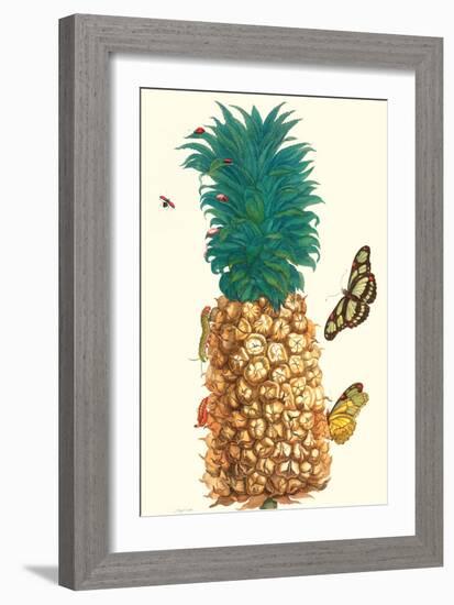 Butterfly and Beetle on a Pineapple-Maria Sibylla Merian-Framed Art Print