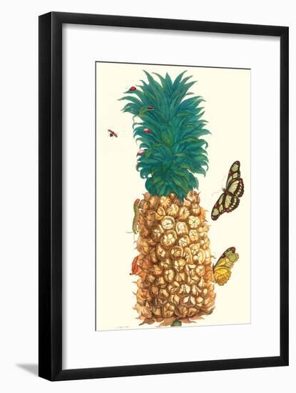 Butterfly and Beetle on a Pineapple-Maria Sibylla Merian-Framed Art Print