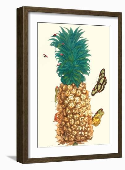 Butterfly and Beetle on a Pineapple-Maria Sibylla Merian-Framed Art Print