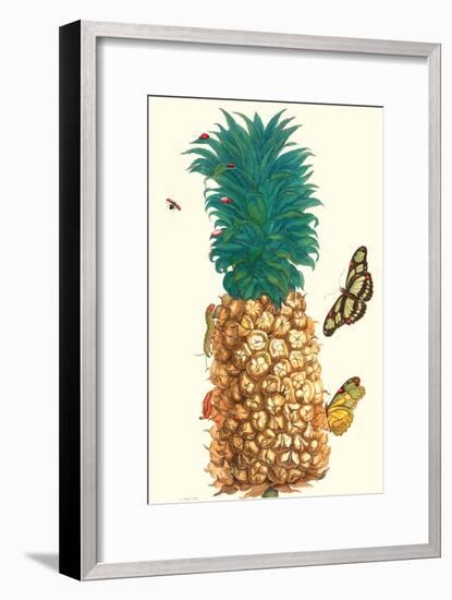 Butterfly and Beetle on a Pineapple-Maria Sibylla Merian-Framed Art Print