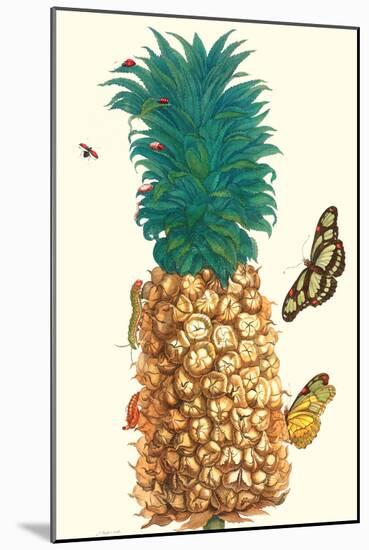 Butterfly and Beetle on a Pineapple-Maria Sibylla Merian-Mounted Art Print