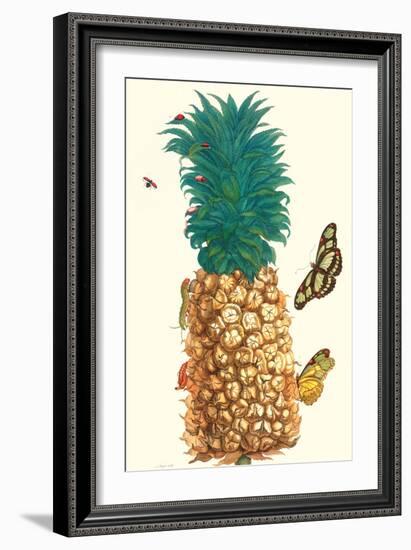 Butterfly and Beetle on a Pineapple-Maria Sibylla Merian-Framed Art Print