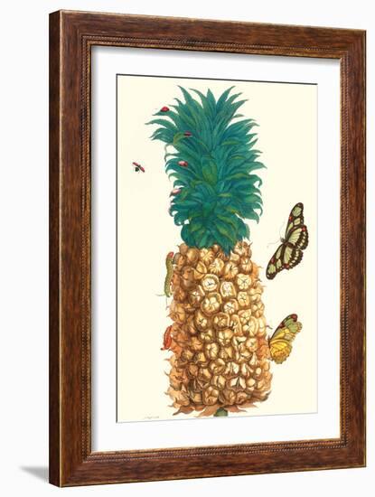 Butterfly and Beetle on a Pineapple-Maria Sibylla Merian-Framed Premium Giclee Print