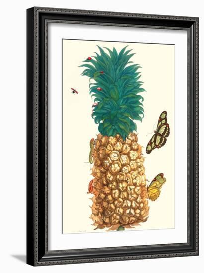 Butterfly and Beetle on a Pineapple-Maria Sibylla Merian-Framed Premium Giclee Print