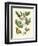 Butterfly and Botanical II-Mark Catesby-Framed Art Print