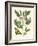 Butterfly and Botanical II-Mark Catesby-Framed Art Print