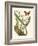 Butterfly and Botanical IV-Mark Catesby-Framed Art Print