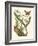 Butterfly and Botanical IV-Mark Catesby-Framed Art Print