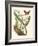 Butterfly and Botanical IV-Mark Catesby-Framed Art Print